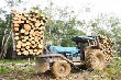 Dự báo giá cao su năm 2016: Sẽ ấm lên?
